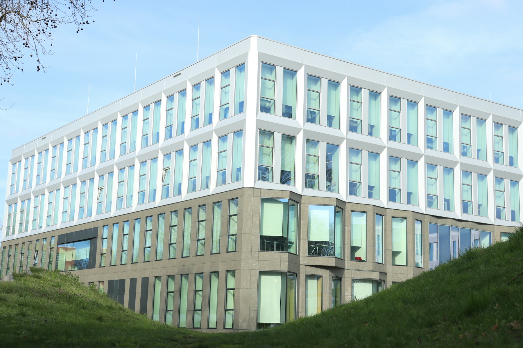Professional real estate office building